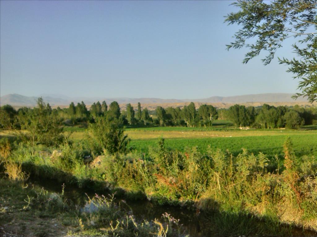 کشاورزان استان بوشهر برای دریافت سند ثبتی اقدام کنند