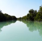 ثبت ۹ تالاب در استان بوشهر