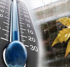 کاهش نسبی دمای هوا در استان بوشهر تداوم می یابد