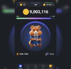 ماجرای بازی کریپتویی «همسترکامبت» چیست؟