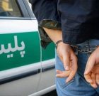 شرور سابقه‌دار در شهرستان دیر دستگیر شد