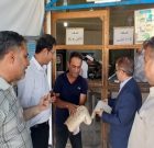 بازدید فرماندار دیّر از نانوایی‌ها برای بررسی کیفیت پخت نان و خدمت‌رسانی
