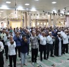 نماز جمعه دهم مرداد ۱۴۰۴ بندر دیّر به روایت تصویر