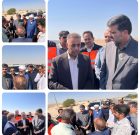 بازدید رئیس سازمان راهداری کشور از پروژه‌های راه‌سازی کنگان و بردخون؛ تأکید بر تسریع در تکمیل محورهای مواصلاتی