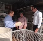 بازدید سرزده فرماندار دیّر از نانوایی‌ها؛ تأکید بر ارتقای کیفیت نان و بررسی علت تعطیلی برخی واحدها