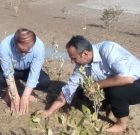 پاکسازی ساحل جبرانی و کاشت نهال حرا با حضور فرماندار دیّر و فعالان محیط زیست